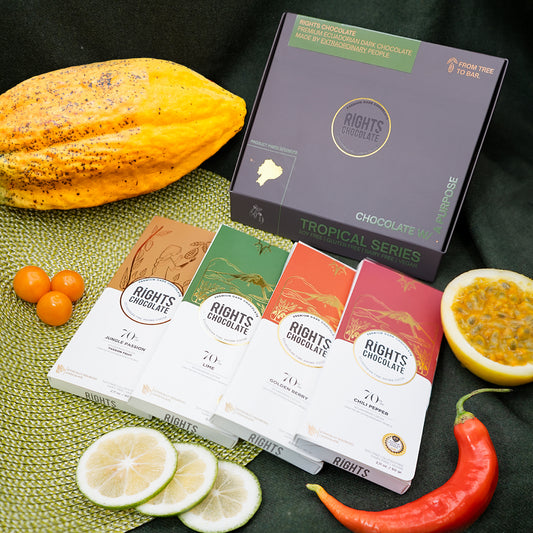 BOX of 4 BARS - TROPICAL SERIES -SOY FREE | GLUTEN FREE | DAIRY FREE | VEGAN