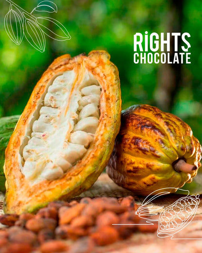 Ecuadorian Dark Chocolate 70% Variety Pack – Tropical Flavors Mini Bars (10 x 20g) – Fine Aroma Cacao