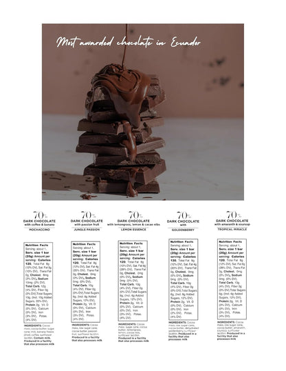 Ecuadorian Dark Chocolate 70% Variety Pack – Tropical Flavors Mini Bars (10 x 20g) – Fine Aroma Cacao
